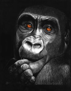Gorilla - Scratchboard Art