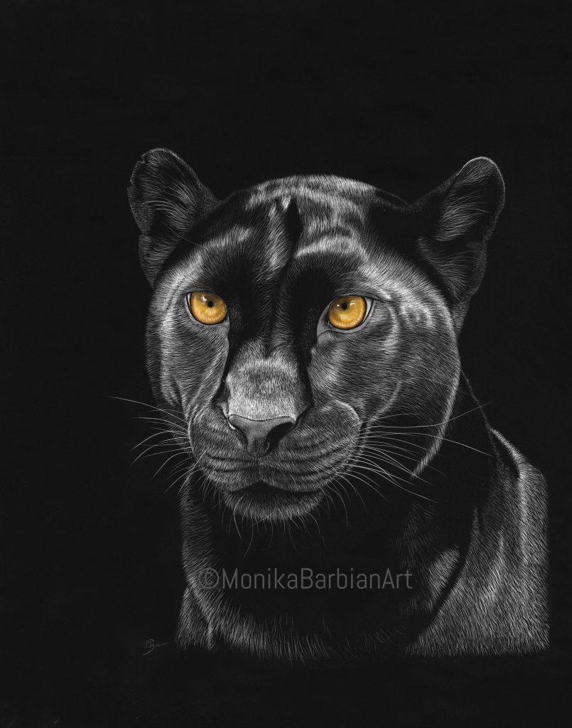 Black Panther - Scratchboard Art