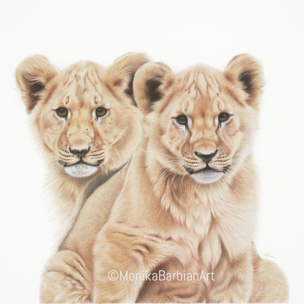 Lion Cubs - Coloured pencil